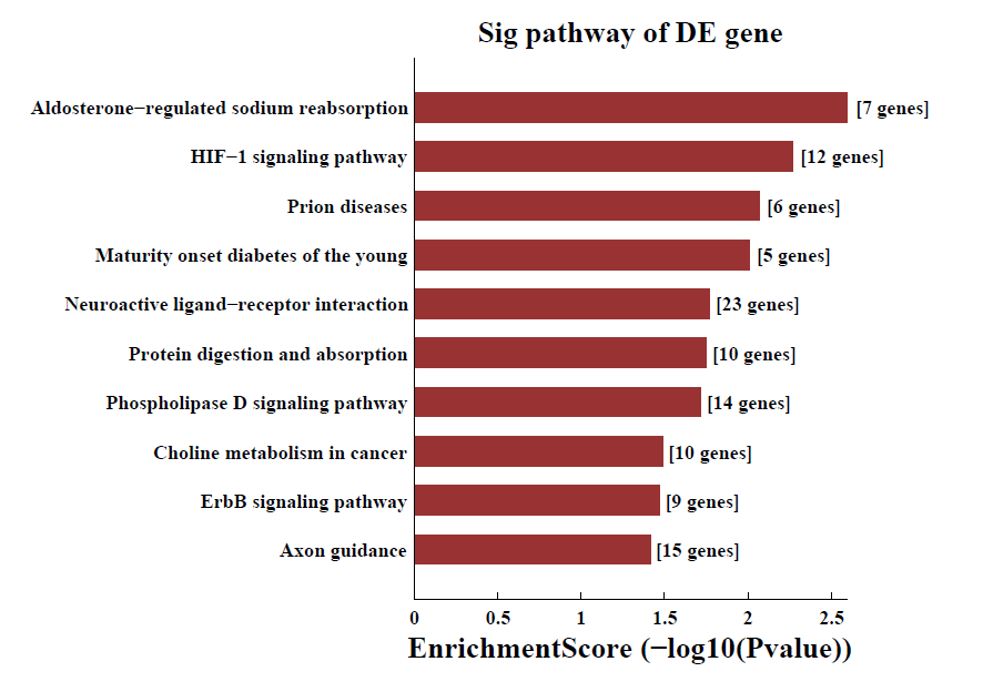 
差異m6A甲基化mRNA pathway分析